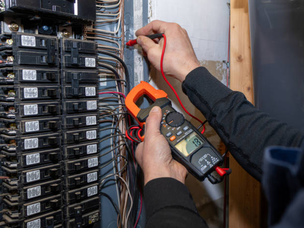 Best Electrical Upgrades for Homes  in Palm Valley, FL